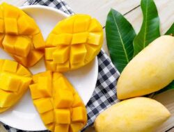 Ini Manfaat Istimewa Makan Mangga, Bisa Bikin Kulit Awet Muda