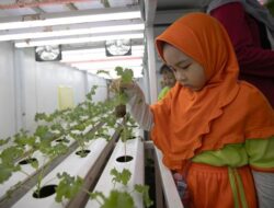 Belajar Bertani dan Berternak di Agro Edukasi Wisata Ragunan