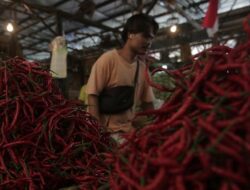 5 Bumbu Pedas Ini Mungkin Alternatif di Tengah Harga Cabai Mahal