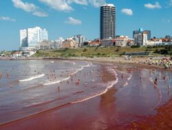Kejadian Istimewa Alam, Pasir di Pantai Argentina Berubah Jadi Merah