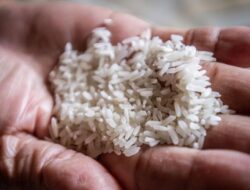 Studi Sarankan Masak Nasi dengan Benar Supaya bisa Terhindar dari Kanker