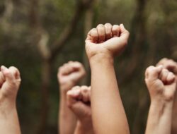 4 Aktivis Greenpeace Dipulangkan Polisi Usai Aksi Penolakan Tambang Nikel
