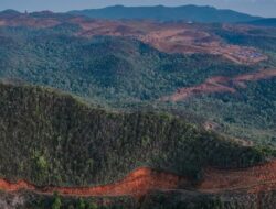 Daftar 4 Perusahaan Nikel yang Dicabut Izinnya oleh Prabowo