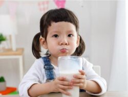 Minum Susu 2 Liter? Hati-hati, Dokter Peringatkan Bahayanya