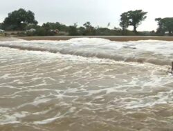 Korban Tewas Bencana Banjir di Texas Jadi 50 Orang, Beberapa Hilang