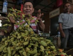 BPS Catat Harga Cabai Rawit Turun, Cabai Merah dan Bawang Merah Naik