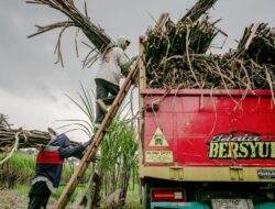 Tetes Tebu Petani Tak Laku, Pemerintah Buka Opsi Batasi Pembelian Barang dari Luar Negeri Etanol