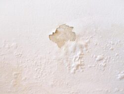 5 Trik Perbaiki Tembok Lembap di Rumah Saat Musim Hujan