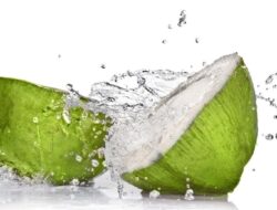 Rahasia Sehat di Balik Minum Air Kelapa Setiap Hari