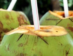 Simak, 8 Kelompok Orang Ini Harus Berhati-hati saat Minum Air Kelapa