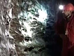 Temuan Jaring Laba-laba Terbesar di Dunia, Rumah 100 Ribu Laba-laba