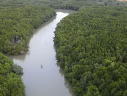 Para Seniman Dukung Ide Patungan Hutan Pandawara, Ada yang Siap Rp1 M