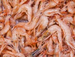 5 Tips Membersihkan Udang yang Benar, Lebih Sehat saat Diolah