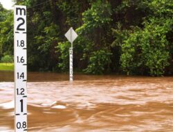 Afrika Selatan Tetapkan Status Bencana Nasional Akibat Bencana Banjir Besar