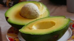 Ingin Punya Kulit Sehat dan Awet Muda? Konsumsi 9 Makanan Ini