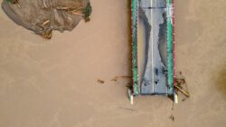 824 Ribu Hewan Ternak Terdampak Bencana Banjir Sumatra, Terbanyak Unggas