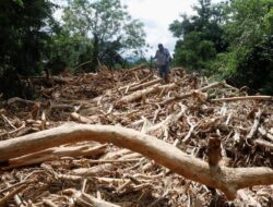 Kayu Gelondongan Hantam Permukiman Saat Bencana Banjir Besar Purbalingga