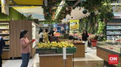 Transmart Full Day Potongan Harga Ada Lagi, Jangan Terlewat Potongan Harga 50% + 20%