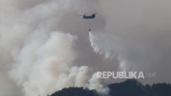 Kemenhan Jepang Kirim Tiga Helikopter Chinook Bantu Atasi Karhutla di Kalimantan
