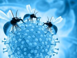 2 Pekerja Bandara Jerman Meninggal karena Malaria, Tergigit Nyamuk dari Pesawat