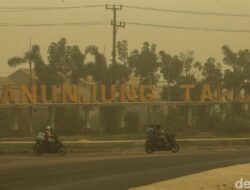 Asap Karhutla di RI Diperkirakan Picu 5.200 Kasus Kematian