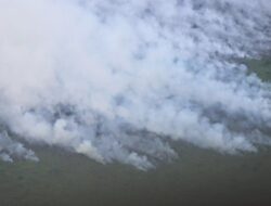 Karhutla Merugikan Pengusaha Perkebunan, Berdampak pada Kelangsungan Usaha